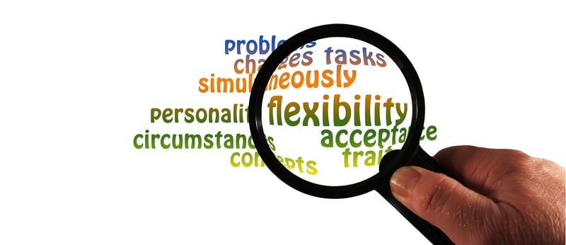 Dynamic Flexibility